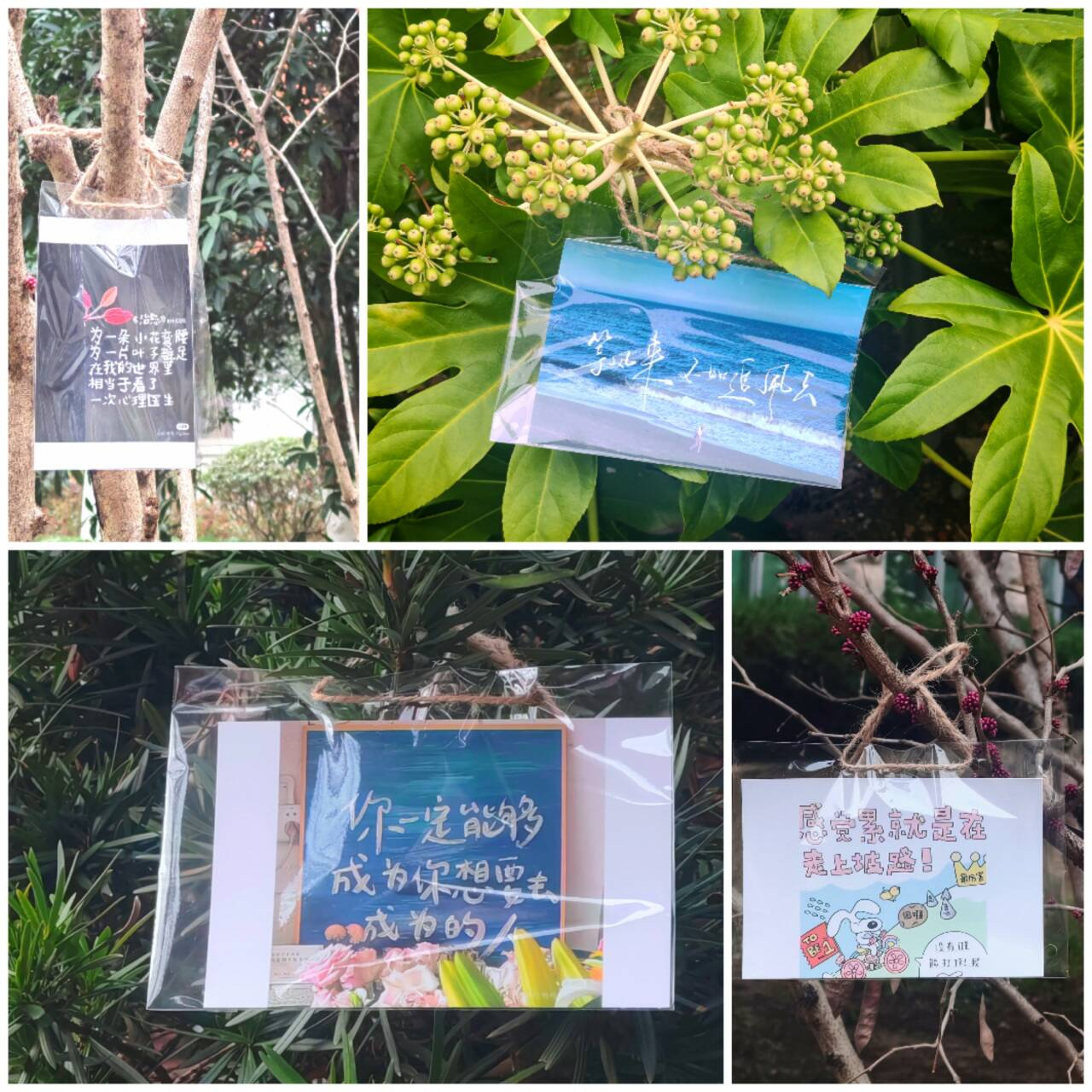 漫步校园觅春意 斛兵拾光润心田 ——资环学院开展“拾光而行”校园疗愈活动